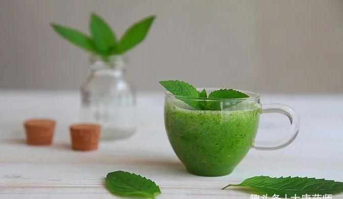 阴虚血燥|一把薄荷,巧治大病!民间11个入药良方,11种病症皆可治!