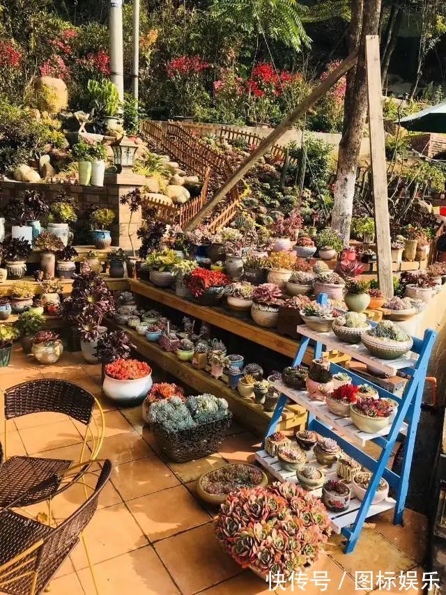 遇见,是一生!遇见多肉,是我的余生和全部!