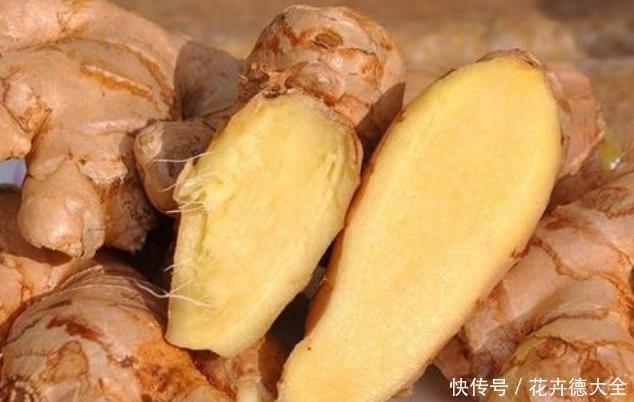 发芽|生姜如何保存才不发芽不干瘪?教你3招,放几个月都还新鲜,实用