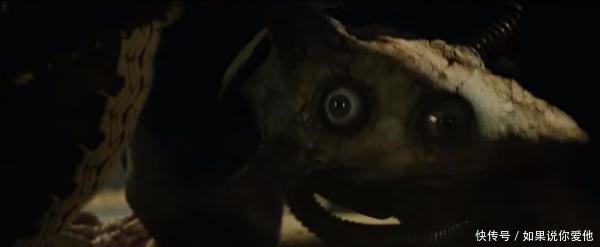 真人|《约定的梦幻岛》真人版定档12月,又一部毁原作漫改真人将上映