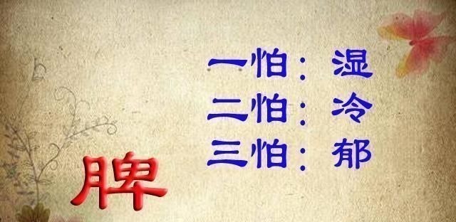 脾虚|“脾虚百病生”,脾虚的人,注意三个方面健脾,常吃三物做三事