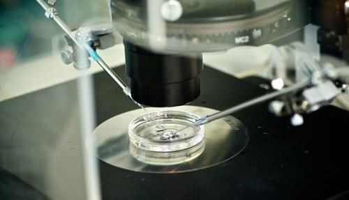 寿命|试管婴儿和普通婴儿,有什么区别并非寿命和智商,差的只有这个