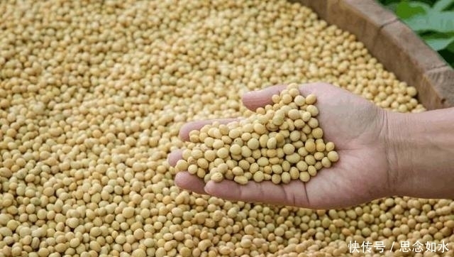 颈椎病|颈椎病脖子很不舒服？往枕头里放点“它”，颈椎病慢慢就好了