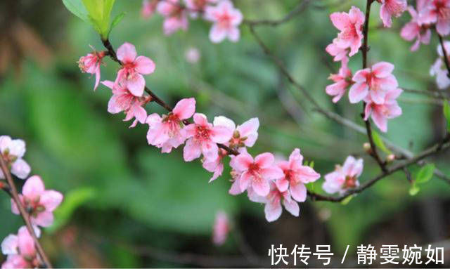 山村咏怀|宋朝一位不知名的诗人,写了一首有趣的诗,通篇包含一到十的数字