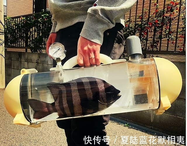 钢铁侠$30个令人眼前一亮的设计,看到日本的产品设计,哎!深出一口气