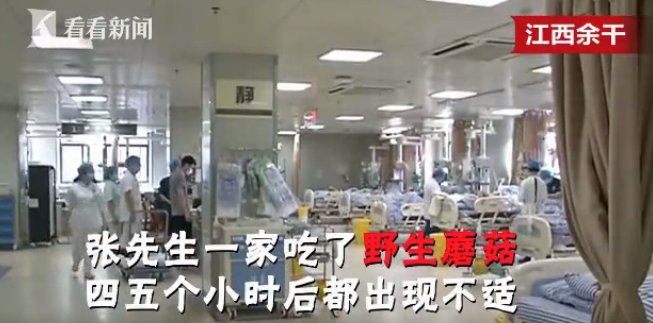 别再吃了！很毒，没有特效药！