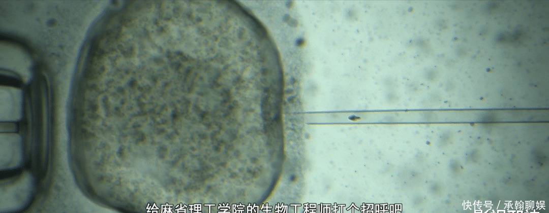 扎克 末世、太空、乌托邦，顶级新二代的大作还是不太行啊