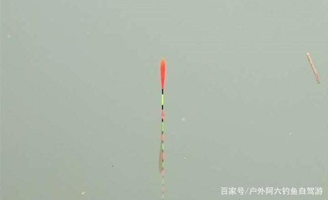 钓鱼调漂，怎么样判断水下双饵状态
