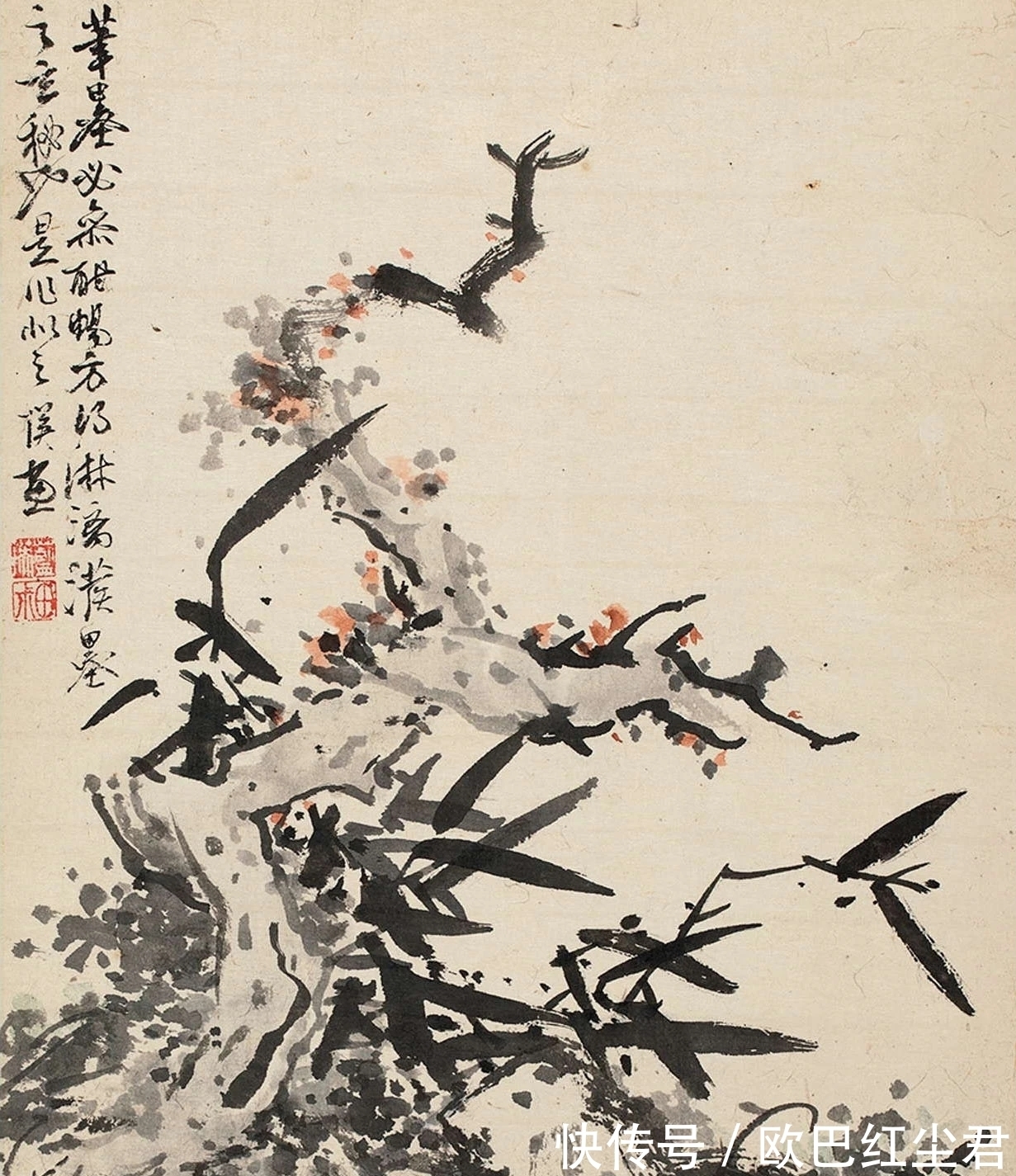 逸品$难得一见的水墨花鸟画逸品!蓝瑛《兰竹石册》十二开