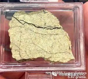 黄绿色月球陨石赏析