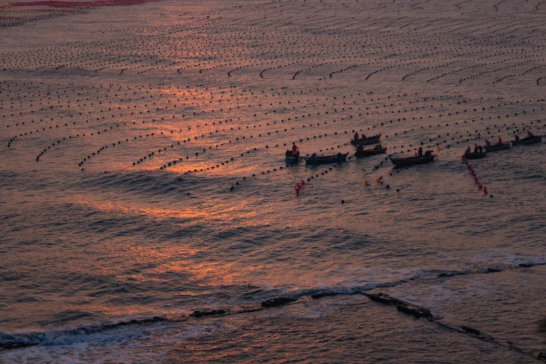 大医|海上日出：大医一天中最浪漫的时刻