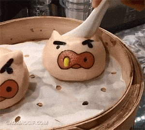 |搞笑GIF:别装了 我知道你就是故意的