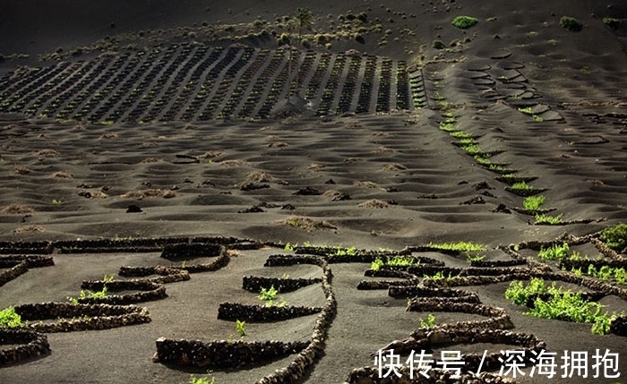 艺术家|美女不穿衣服藏进大自然，惊人伪装考验你的眼力！1秒找到真汉子