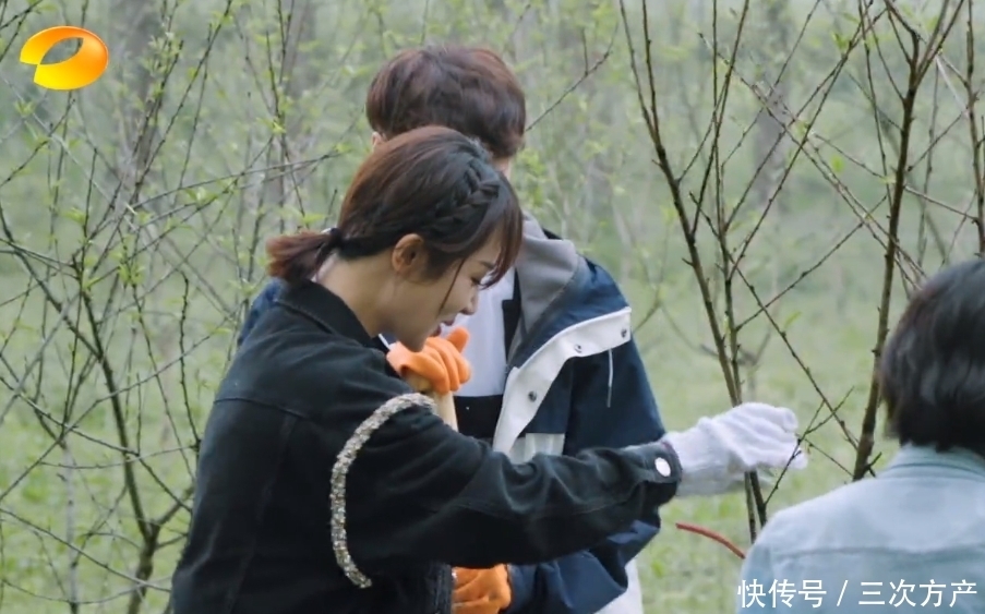 灯泡 向往5变红娘节目?张艺兴杨紫甜蜜互动,何炅带头回家不当电灯泡