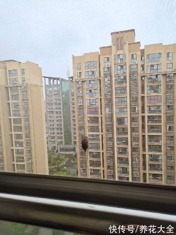 年底在家大扫除，记住5个小妙招，省时省力干干净净