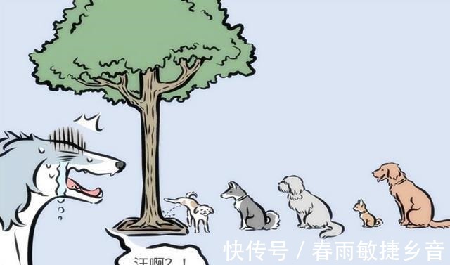 我哮天|非人哉我哮天今天就要让你们知道，当狗有什么不好我可是细犬