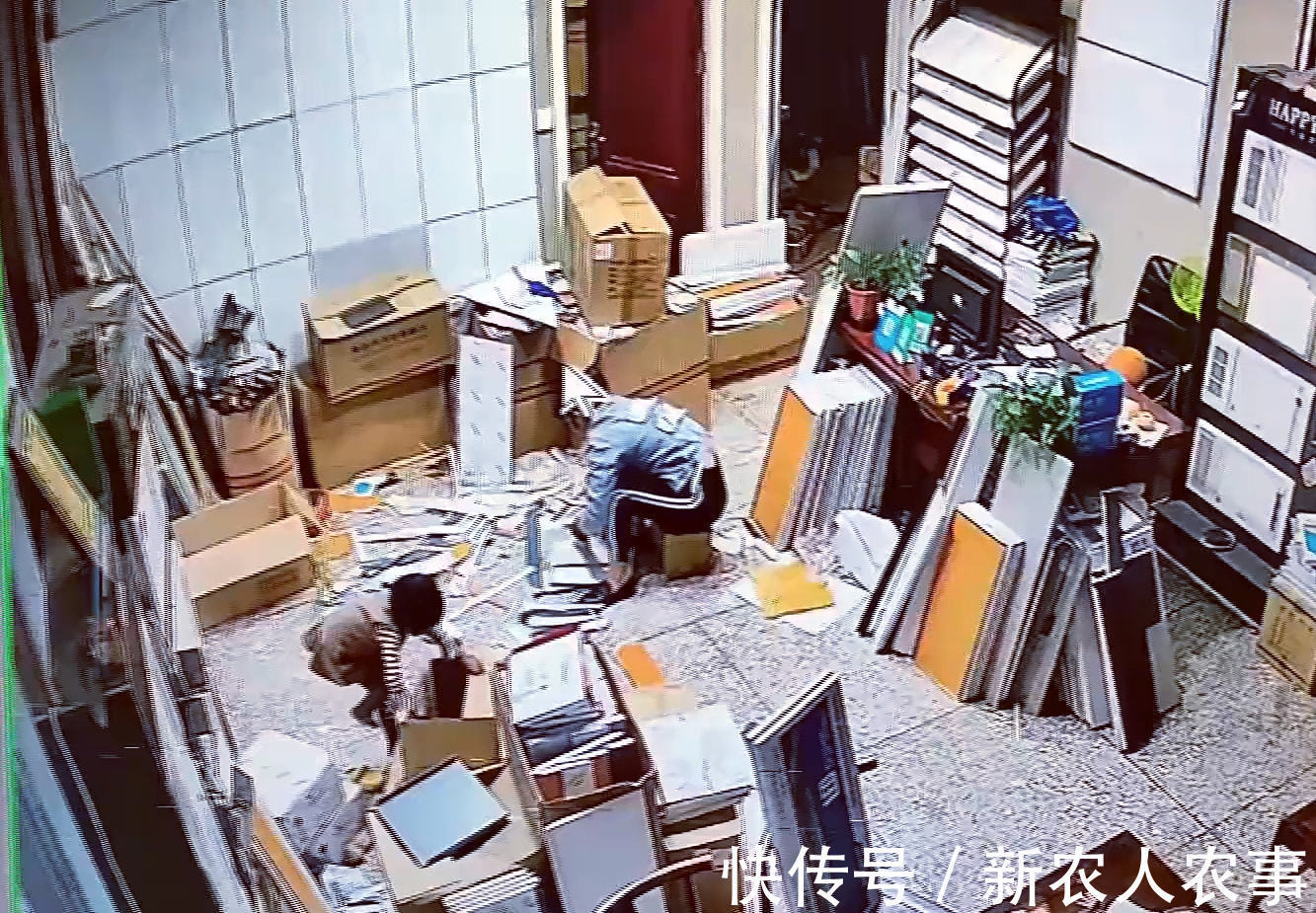 捉迷藏|河南一小女孩藏到纸箱捉迷藏,意外睡着了急坏妈妈,网友:熊孩子