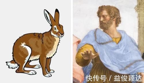 夏洛特|怀孕中可以再怀孕一次吗 她10天怀孕2次还成功生下来