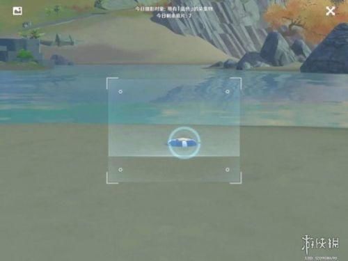 蒲公英 原神蓝色照片在哪里拍?蓝色照片采集物生物分布位置一览