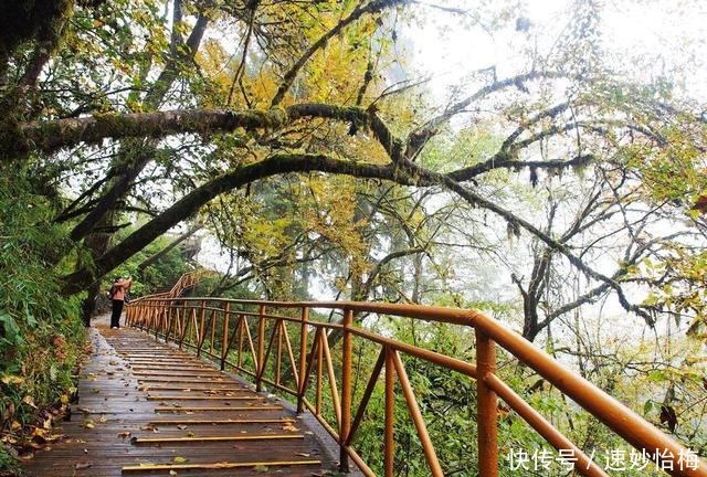 又美又神奇，然而却头号坑爹的景点，海螺沟必须榜上有名