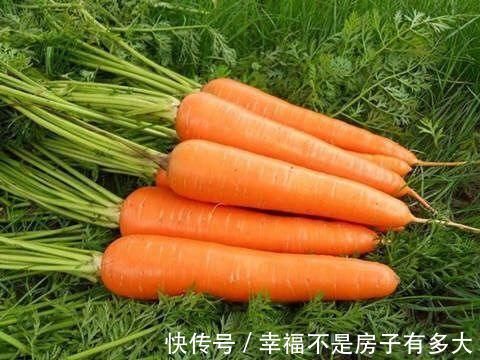 养生|女性养生，要坚持吃3种食物，淡化皱纹，延缓肌肤衰老