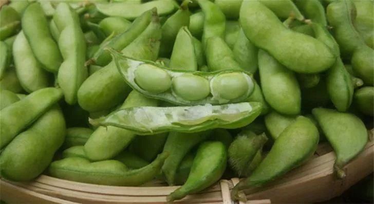 豆粒|煮毛豆，很多人第1步就错了！难怪毛豆变色发黄，还不入味~