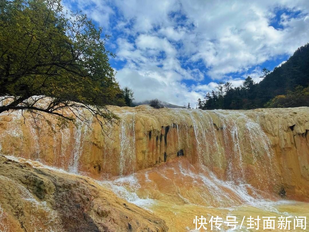 大熊猫|探访黄龙景区：万物皆有灵“人间瑶池”里藏着生物多样性之美