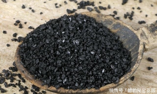 花青素|为什么肾虚不能总吃六味地黄丸