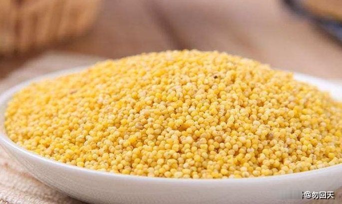 辅食|婴儿辅食:大米和小米,哪个好消化?很多妈妈都理解错了