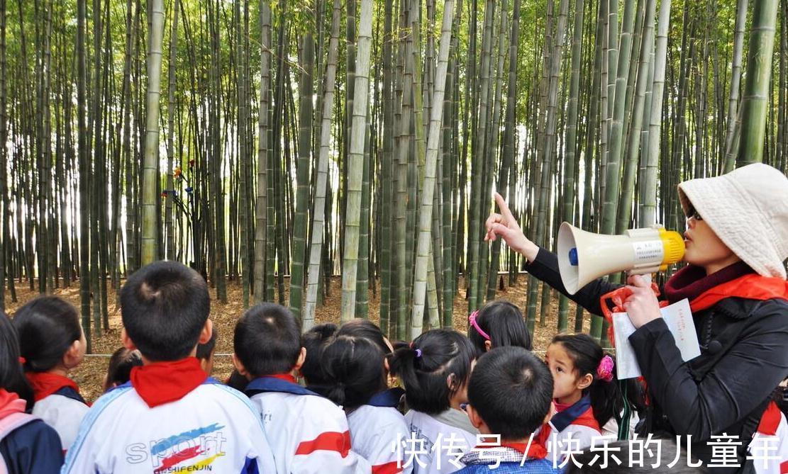 大自然|孩子生活单调两点一线,父母用自然教育,娃受益良多