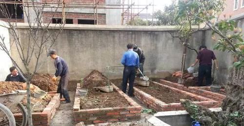 我的100㎡农家小院,种菜、养花、植树、养鱼,漂亮极了