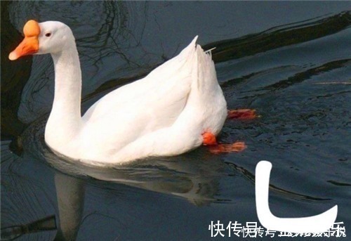 汉字简化方案!我国笔画最少的4个字,每个都只有短短一笔,很多人一眼就认错了