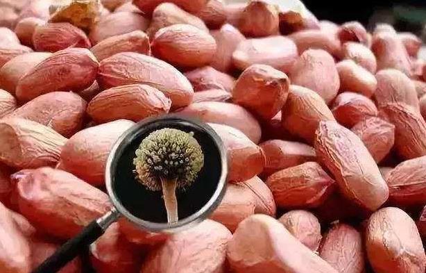 吃法|花生怎么吃最养生?医学专家提醒:2种错误吃法,会诱导心脏病
