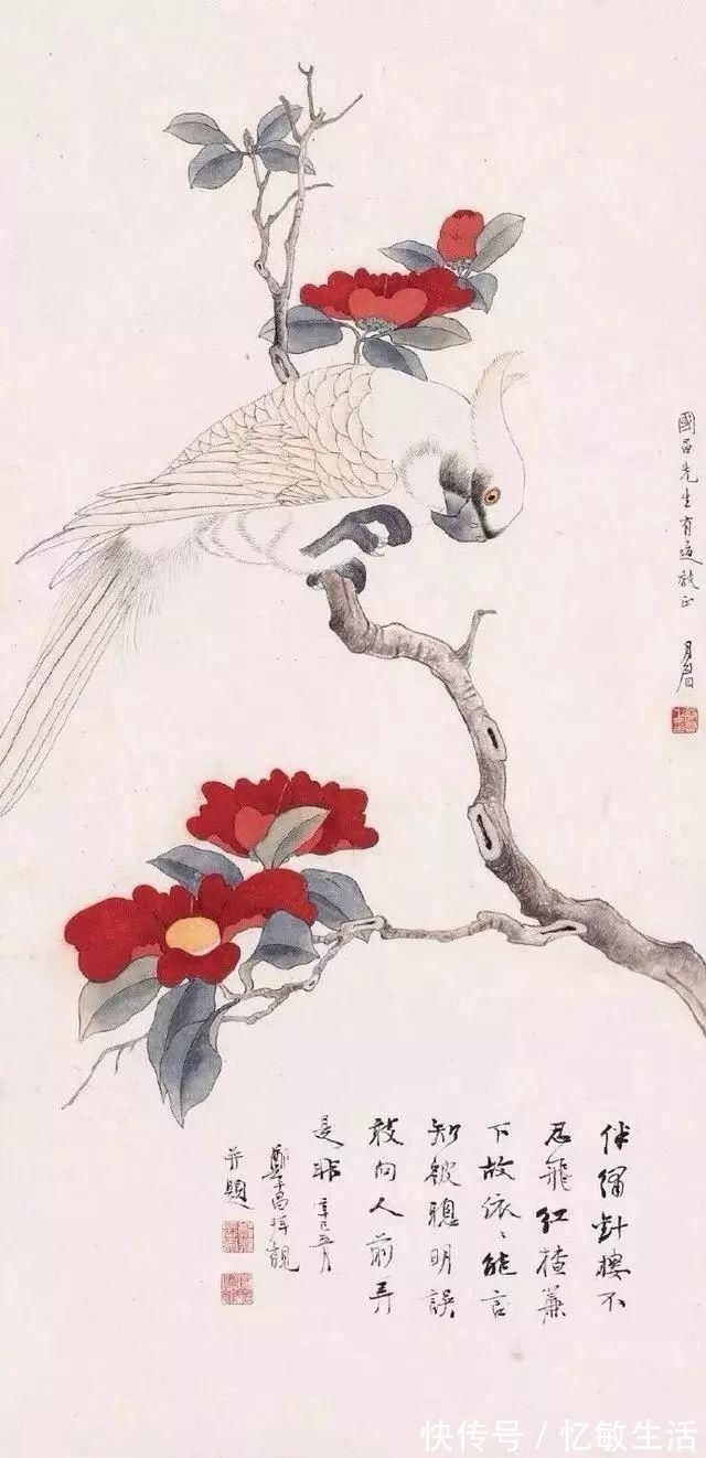 花鸟！她凭天赋自学书画，画画不到20年，却堪称“花鸟圣手”，成为一代传奇