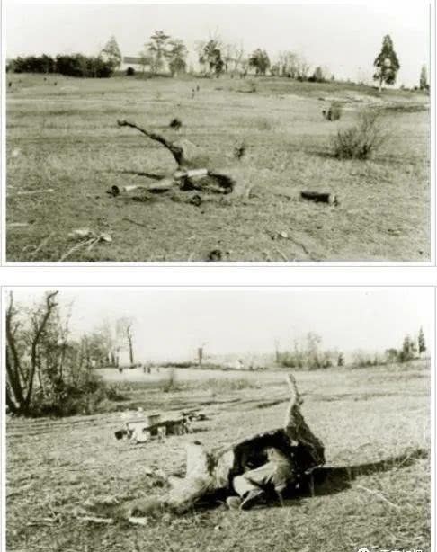 钻入|一战时期的奇葩隐蔽战术,钻入马肚中躲在对方战壕附近的侦察兵