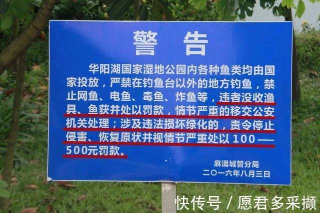 钓鱼人留意,违法钓鱼最高罚十万,搞清楚下竿比较好