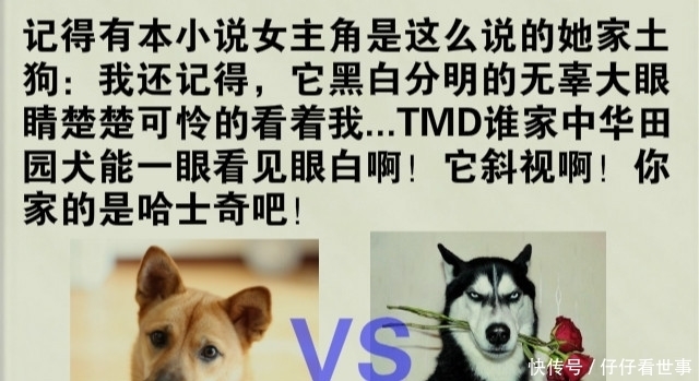 含义|网络小说智障剧情被疯狂吐槽，书友：你知道“蝼蚁”的真正含义吗