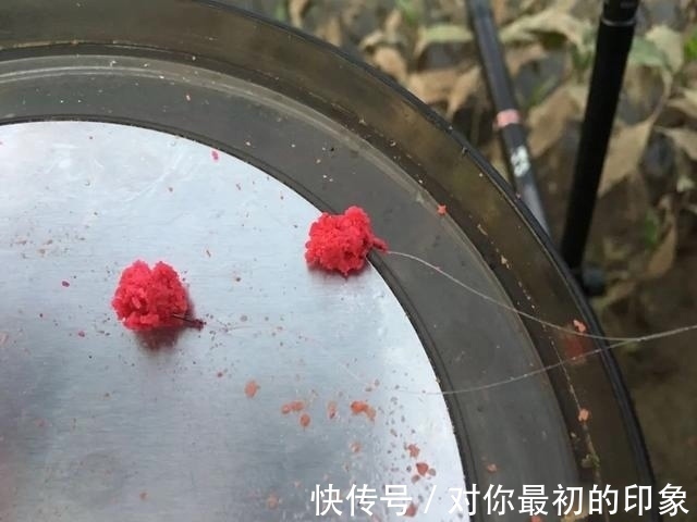 饵料|难怪你的饵团一拉就散，原来是少了这一步！新手开拉饵须知