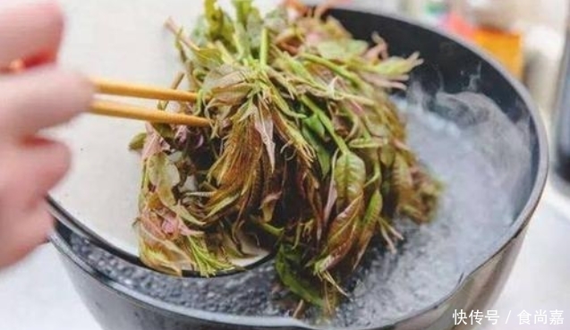 吃香椿,焯水还是不焯水?别随便吃,和大厨学正确做法,又香又嫩