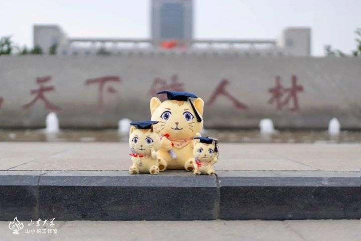 校庆|八种拼图盲盒随机送，山东大学2021年百廿版录取通知书发布！