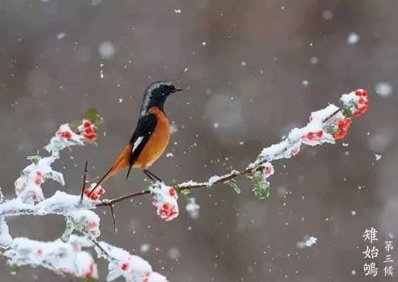 降温@今日小寒，广州今明降温，来这里可“赏雪”