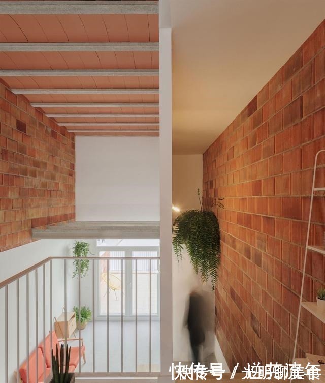 客厅|母女住4米宽的过道,将其改造成60㎡住宅,还带内部庭院,羡慕!