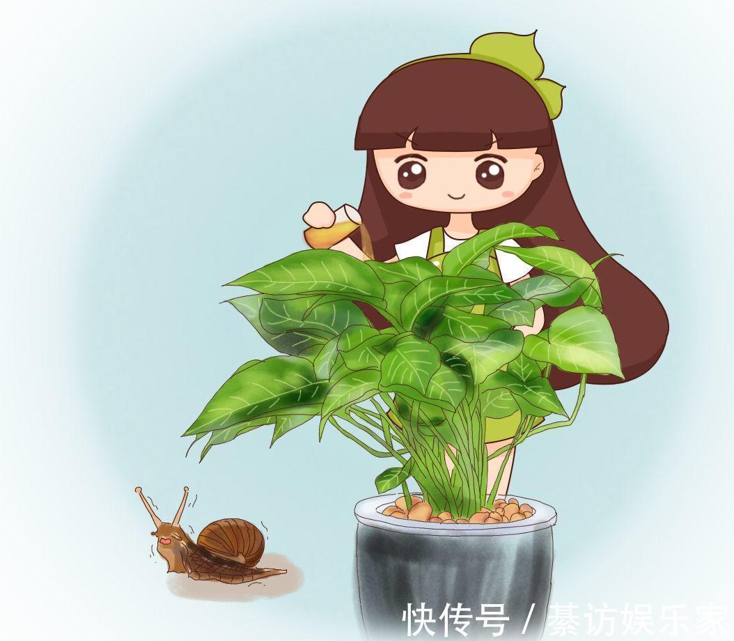 自制养花杀菌水,7天浇一勺,花不生虫不烂根