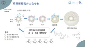 血糖控制|缓释营养主食，让高血糖人群吃得健康！