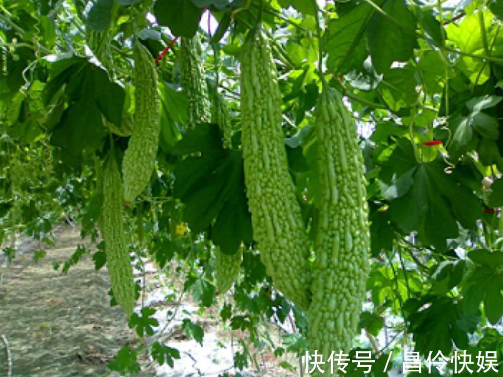 延缓衰老|女性想要肌肤好,坚持吃3种蔬菜,补水润肤,延缓衰老,早吃早好