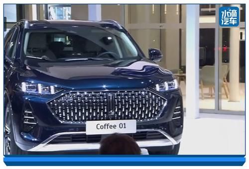 phev|摩卡PHEV首秀慕尼黑，中国魏牌重新定义，欧洲智能汽车