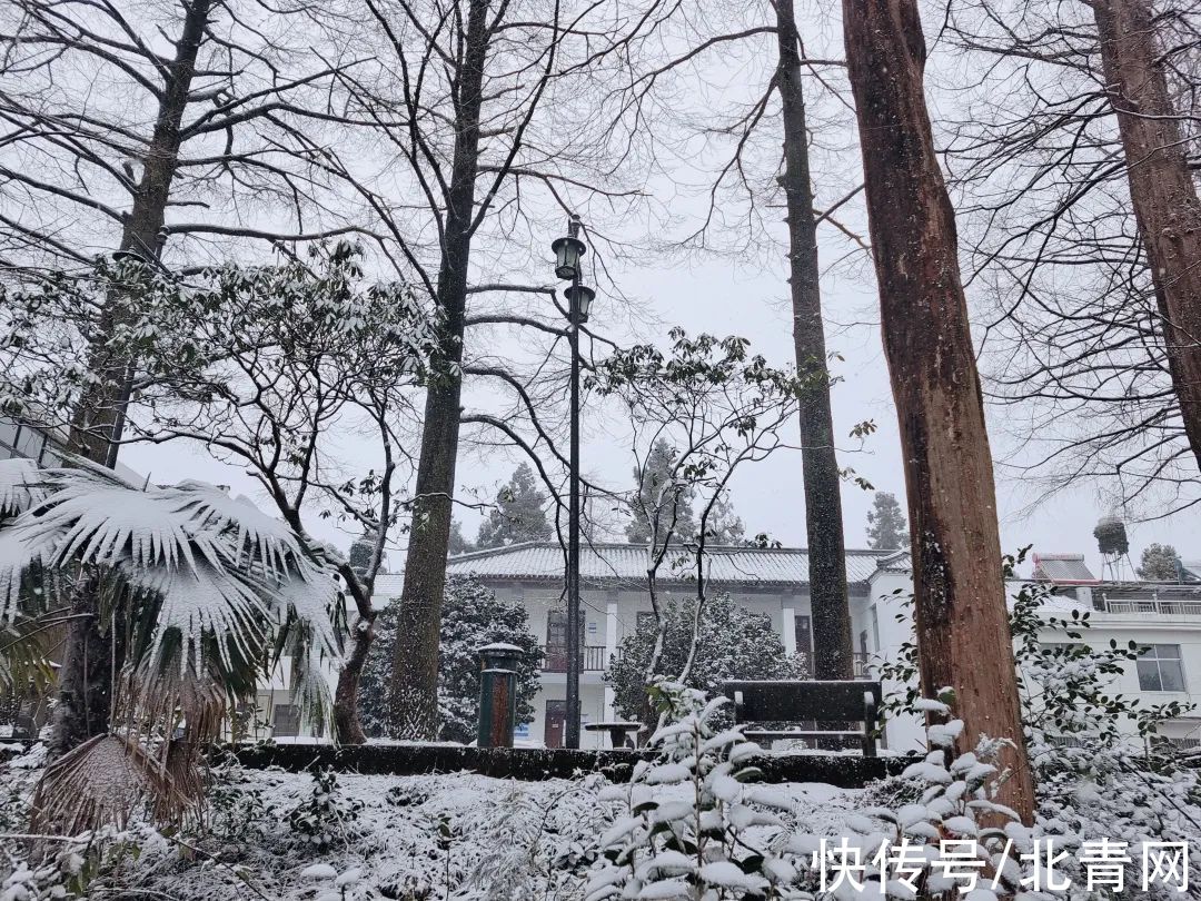 云海|太美了！台州最新雪景！括苍山跌至-10℃，再现云海奇观