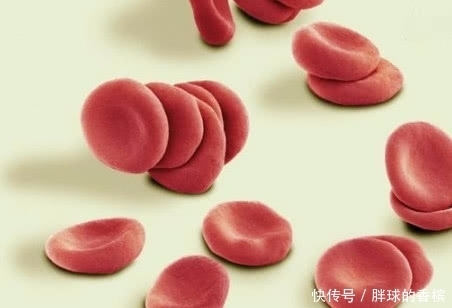 黑木耳|这些食物是血管的天然“守护神”,坚持每天吃一点,血栓不来扰