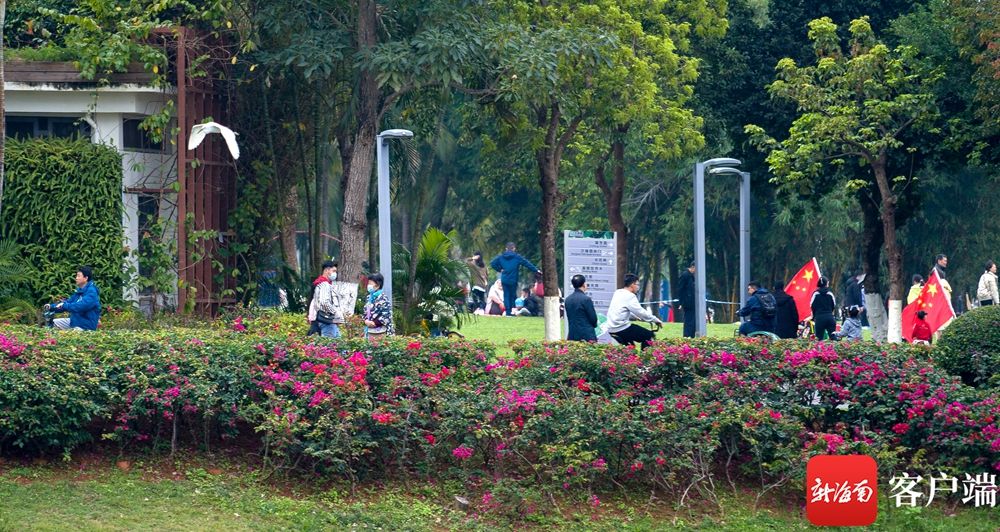 海口万绿园：喜上枝头春意闹 立春时节踏青欢|组图 | 海口万绿园