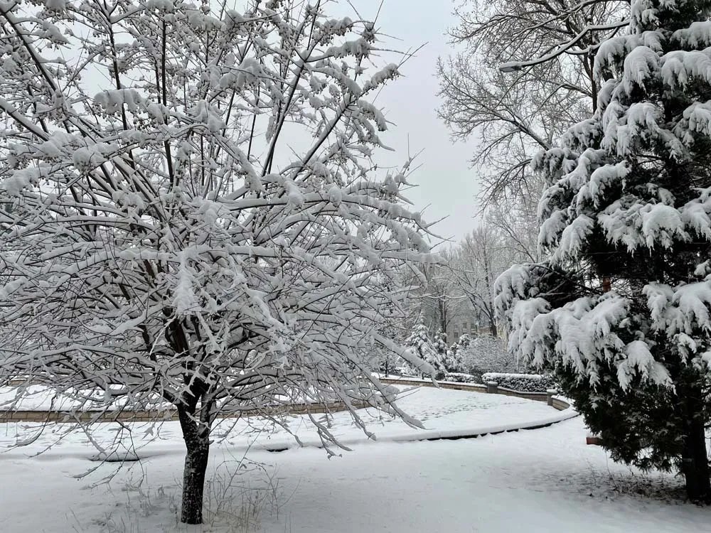 北国之春，三月雪